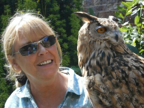 stereosandy's profile picture. is there anybody out there.