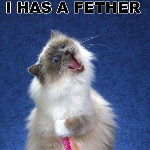 BallardMadonna's profile picture. 