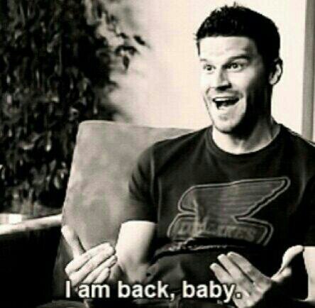 Welcome to the unofficial twitter spanish fan club. Follow @David_Boreanaz from Spain. #Boreanazers #Boneheads ♥