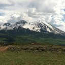 will newton - @willnewton4 - Twitter