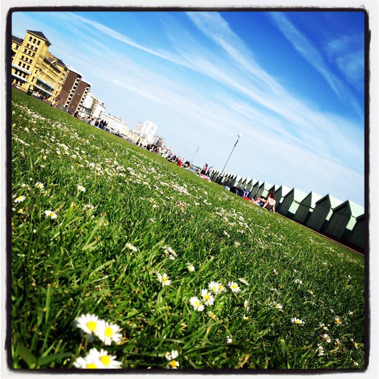 cathrynmGG's profile picture. 