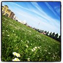 Cathryn Green - @cathrynmGG - Twitter