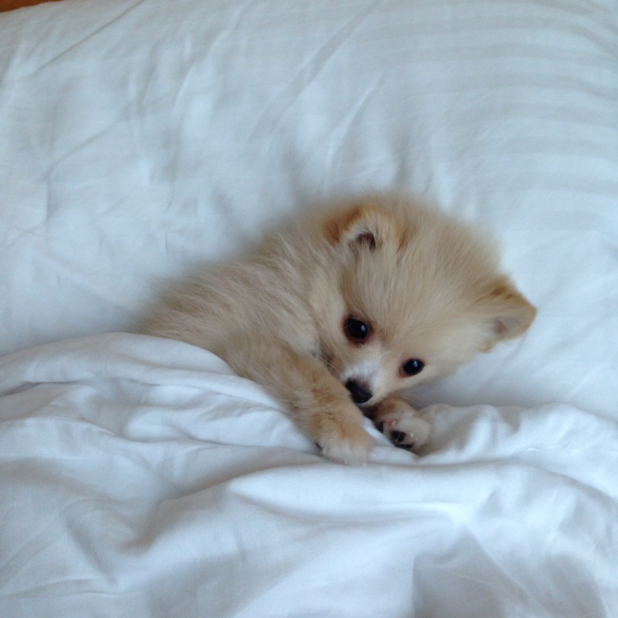 MerveKrdr's profile picture. 