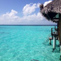 은재애인 소혀니♥ (@callso0823) 's Twitter Profile