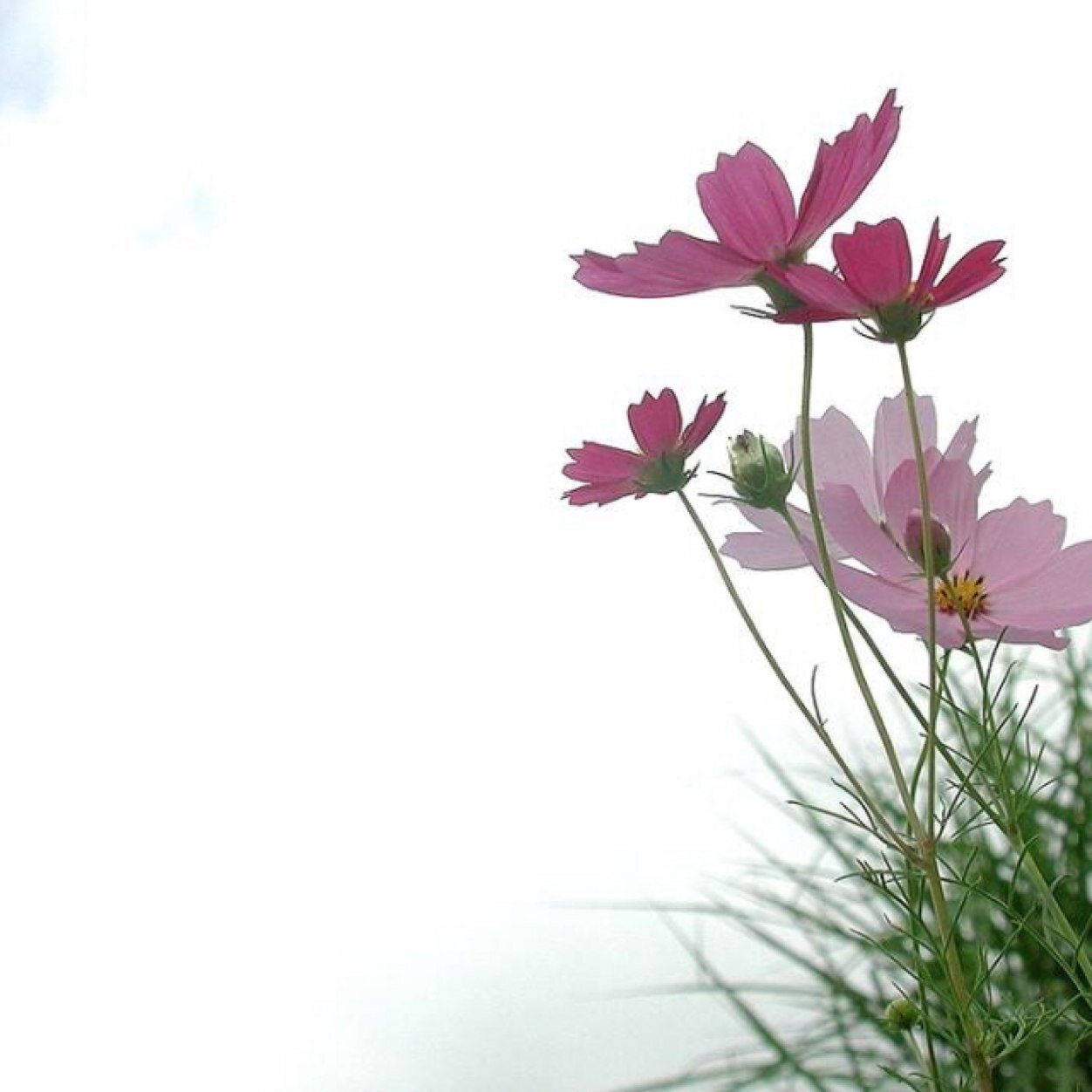 웃어요