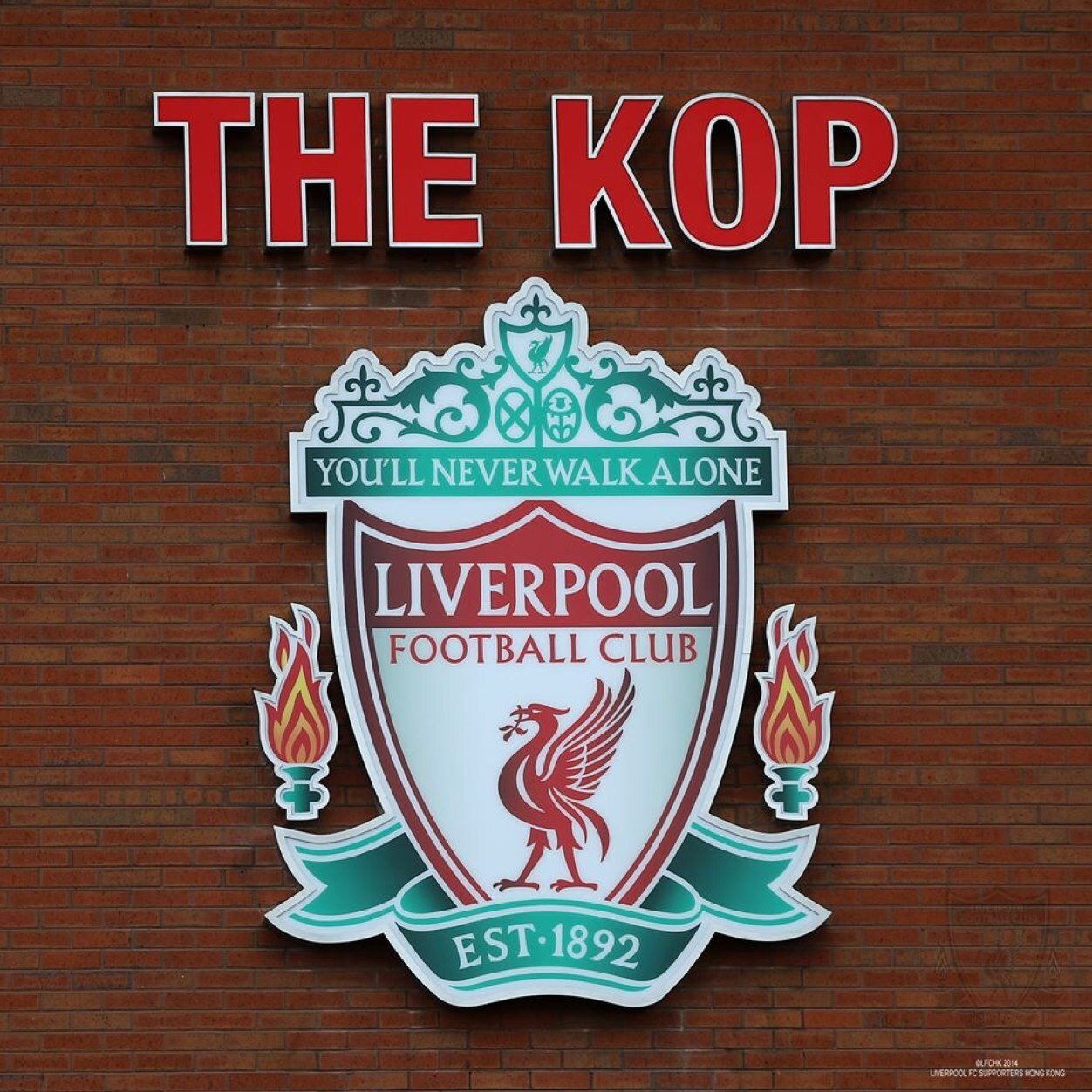 Liverpool4eva33's profile picture. 