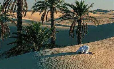 1848ead087c344e's profile picture. 