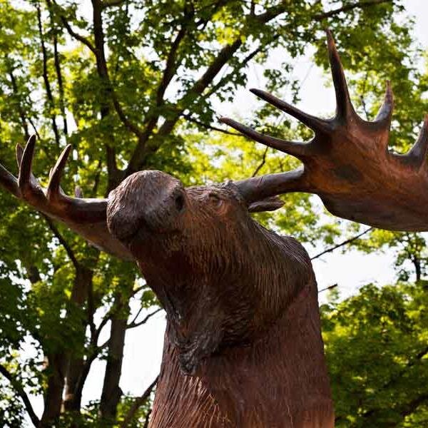 Broostad's profile picture. 