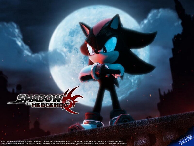 shadow the hedgehog... Thats all i can remember. #RP #NONCANON #Multiverse