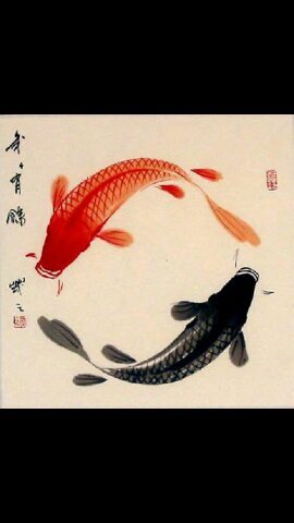 asianphish78's profile picture. I am. As are you. ^_^