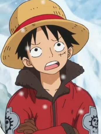 《Luffy [ルフィ]》║『Gomu Gomu no Mi [ゴムゴムの実]』║【Captain of the Straw Hat Pirates [麦わら海賊団]】║〈Bounty: 400,000,000 Belly〉║〔Will of D. [Dの意志〕║{Freedom [自由]}