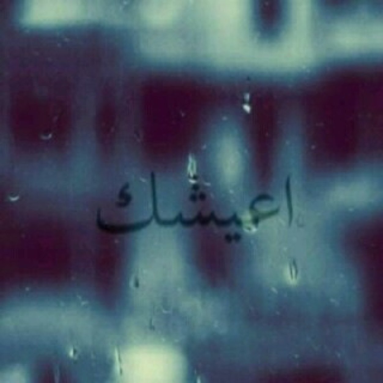 يوسي. انتِ النظر اليكِ عشششششقً