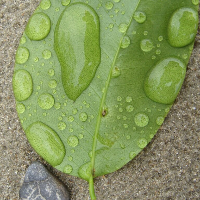 oorlarda's profile picture. looking, listening and learning...  about people, place and purpose