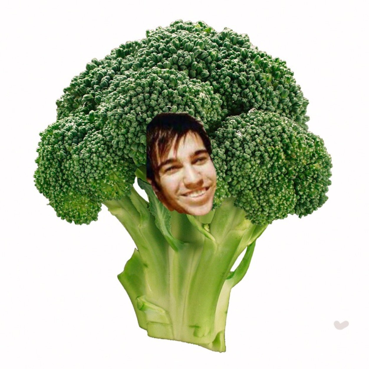 Just a small town broccoli living my big city dream (yes i am a girl)