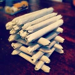 Moose_IV's profile picture. NO PAIN NO GAIN