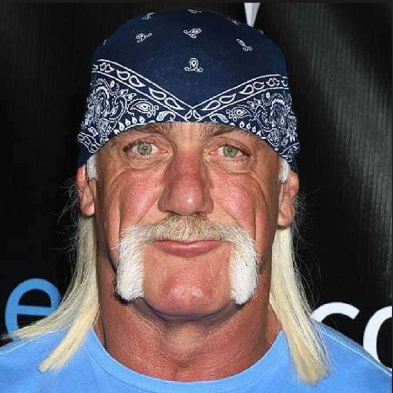 The Official Twitter Feed Of Hulk Hogan And All The HulkAManiacks