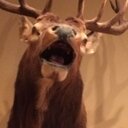 Debbie Patrick - @S2Wgirl - Twitter