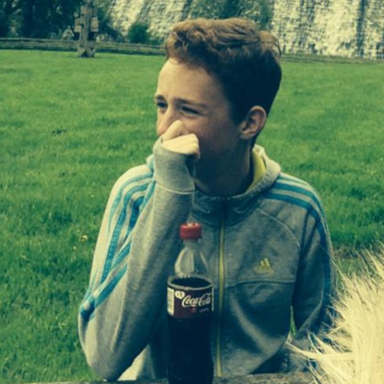 DarrenGingerme's profile picture. 