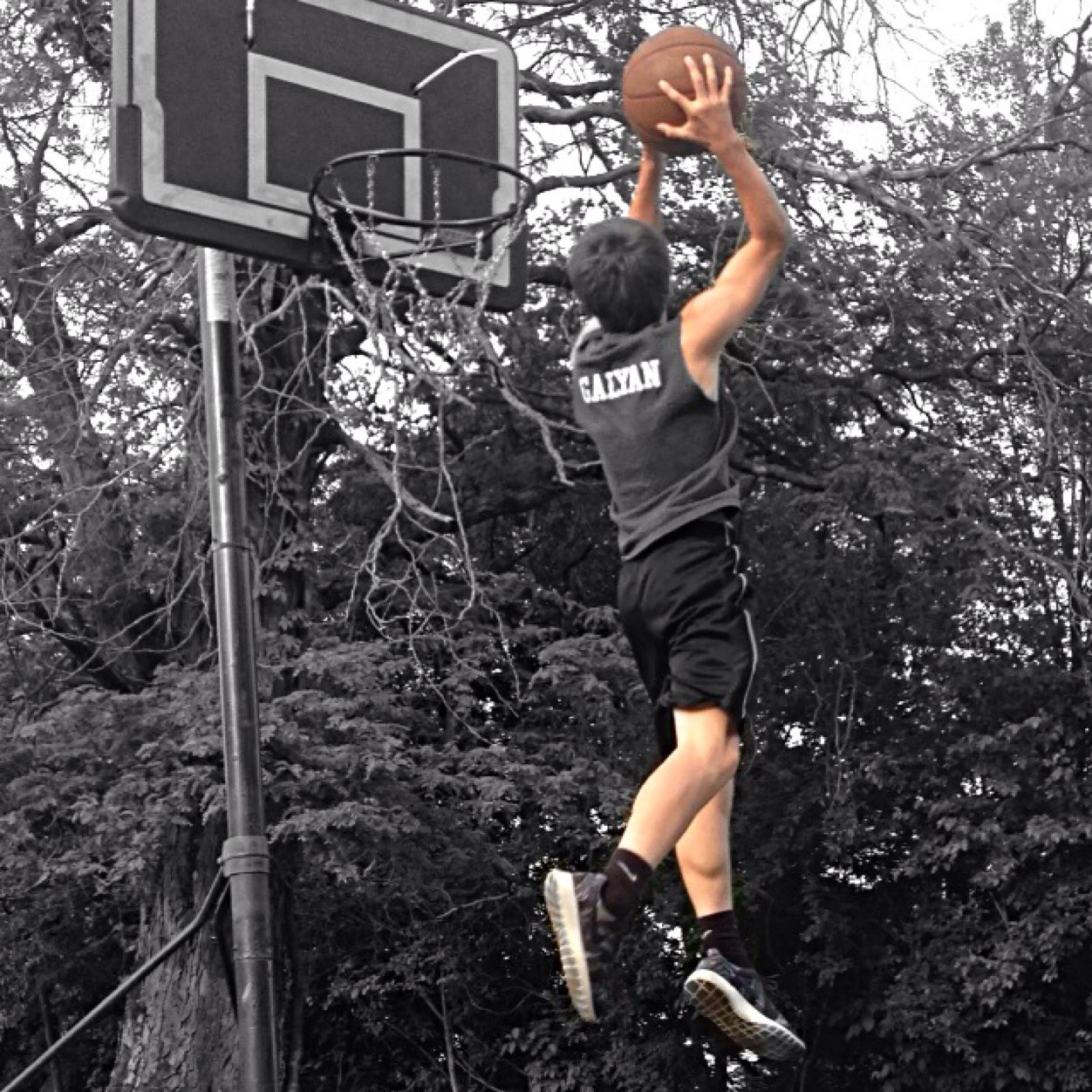 stgalyan's profile picture. 