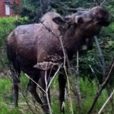 esooMrM's profile picture. 