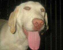 Humertoflores's profile picture. Musica de los ochentas