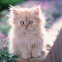 Madison Marie Hinkle - @mandchinkle - Twitter