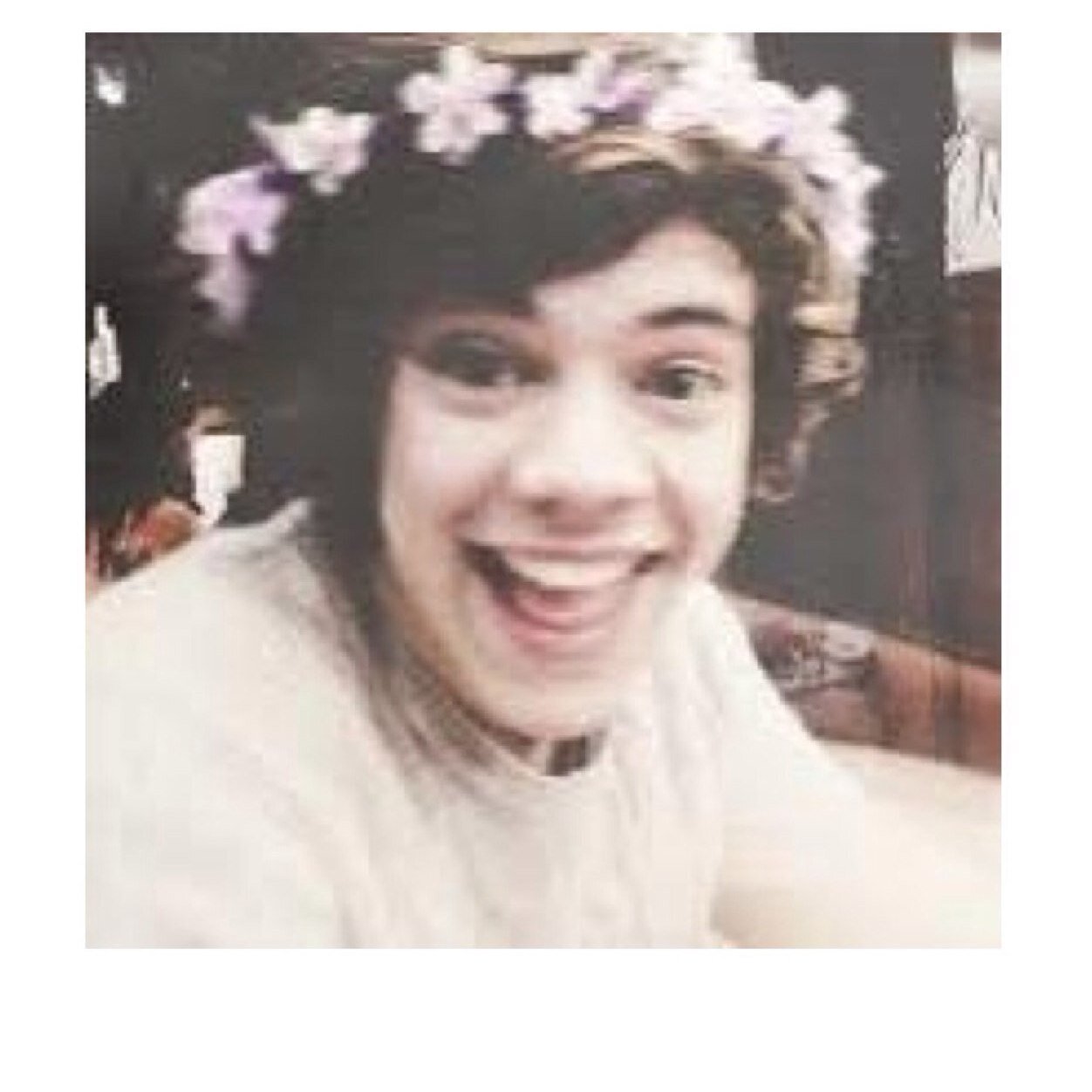 2 things i need in my life: 1) harry 2) harry