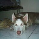 hubert green - @HHubertgreen86 - Twitter