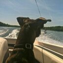 Todd Kruse - @todd_kruse - Twitter