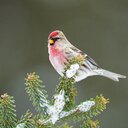 denise sabo - @delishus67 - Twitter