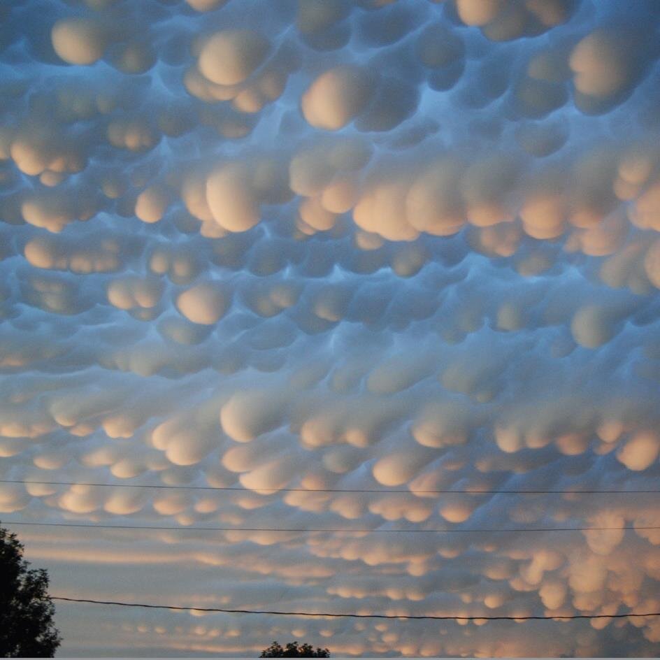 TEXTMEFORQUESTI's profile picture. I am a 17 years old girl I love singing and dancing