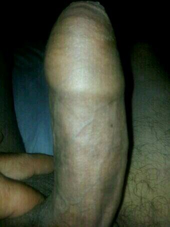 elfernandino10's profile picture. 