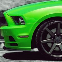 Mustangs Daily (@dailymustangs) 's Twitter Profile Photo
