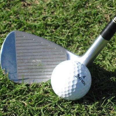 Golf - the most fun you can have without taking your clothes off!  - Chi Chi