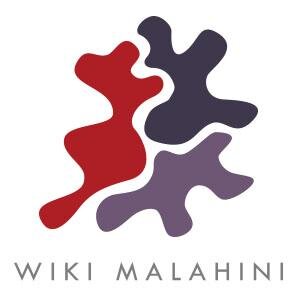 Offshoring solutions partner