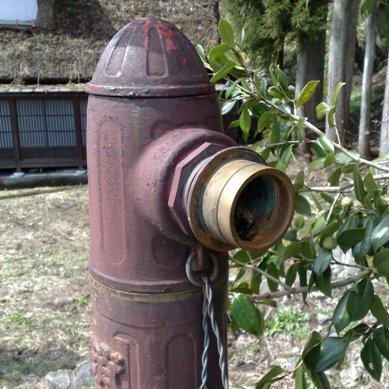 kanemale's profile picture. ♪♪ 春は🌸桜の花吹雪、秋は🍁紅葉の唐錦・・・♪♪  ってかぁ～！🌈堺の兼業行政書士でございます。
This place is also known as a beauty spot for cherry blossoms in the spring and for autumn leaves in the fall.