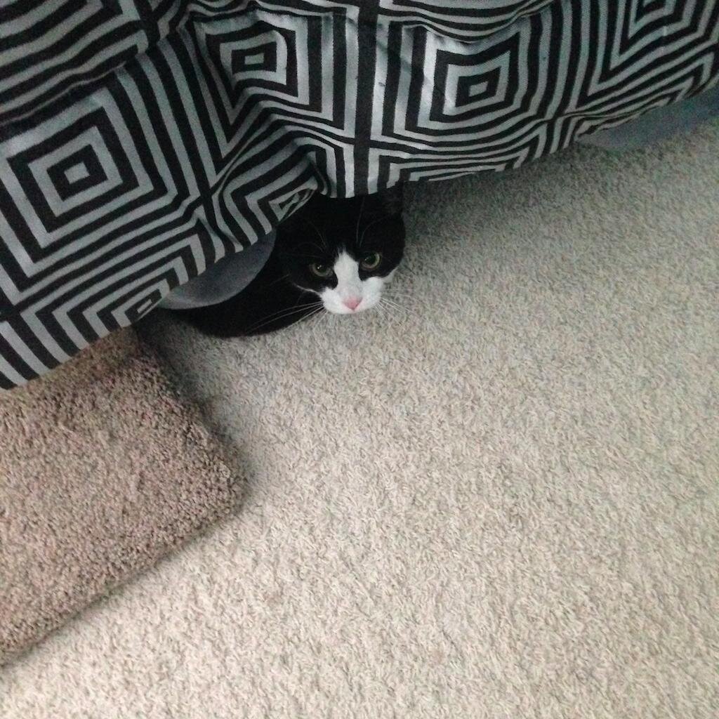 Barret makes Sawdust 🇺🇦