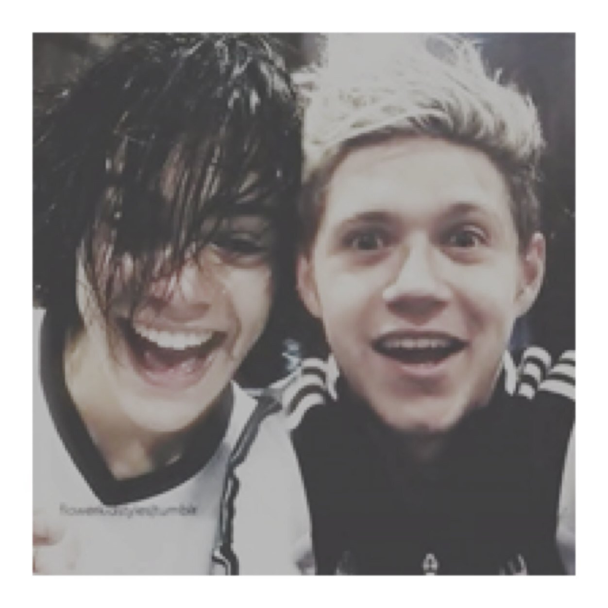 yo u should follow @hannahdelnouis bc she loves u. nouis & narry love u too