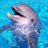rockchick144's profile image