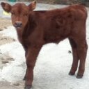 Kyle Gordon - @17gordonkd - Twitter