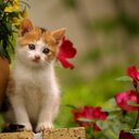 ani joseph - @anijoseph90 - Twitter