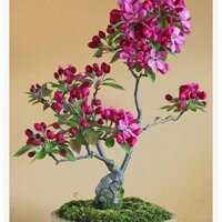 박신언(맞팔100%) (@worldmomo4315) 's Twitter Profile