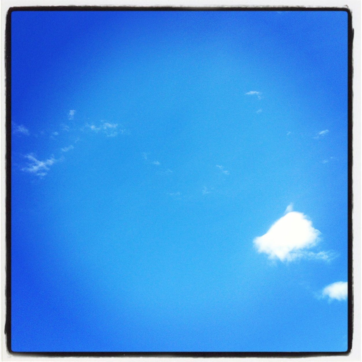 PTSDisME's profile picture. Assisting Veterans who got lost in the wait...