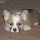 Mark Ewart - @ewartmark - Twitter