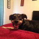 Beth Galloway - @saints_fan_22 - Twitter