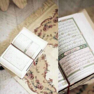بووَّوظَِ*AE*بـّيۓِ
