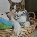 Lawrence Low - @lowct123 - Twitter