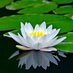 satish singh (@satish7) Twitter profile photo
