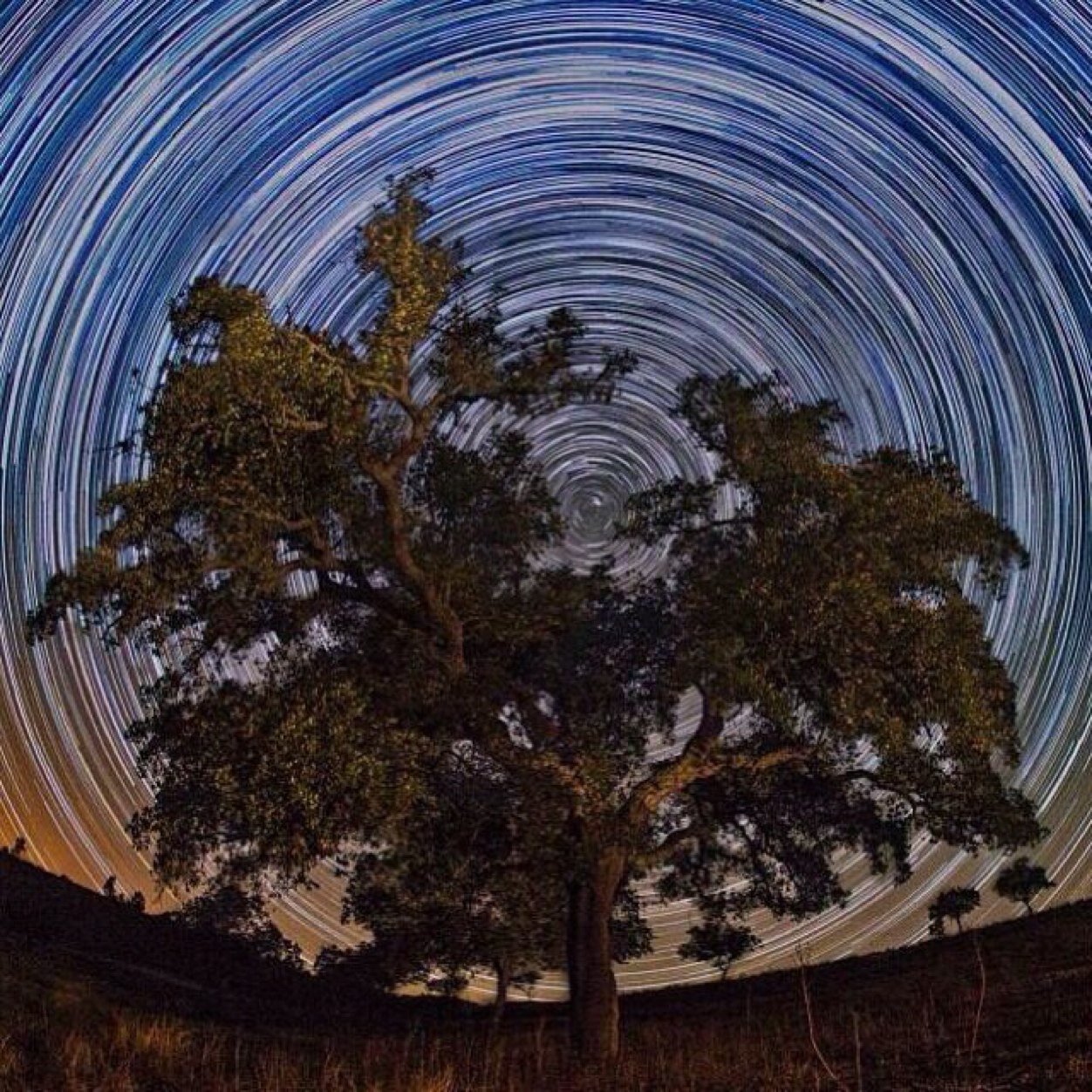 a_a_s_555's profile picture. اطوالع وانجوم