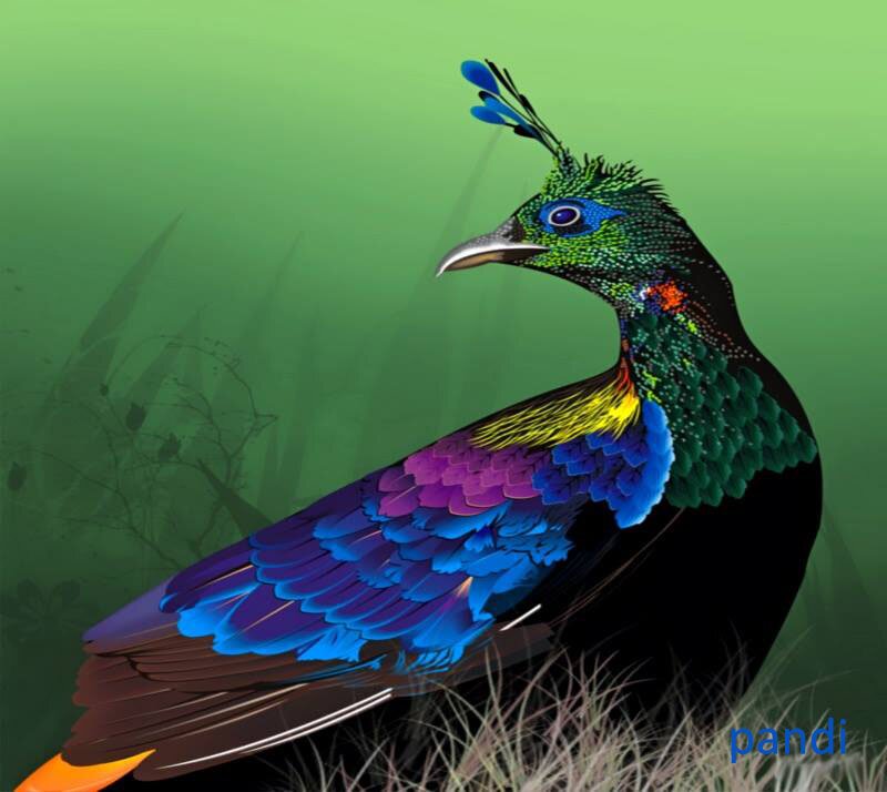 rakshitha89's profile picture. 